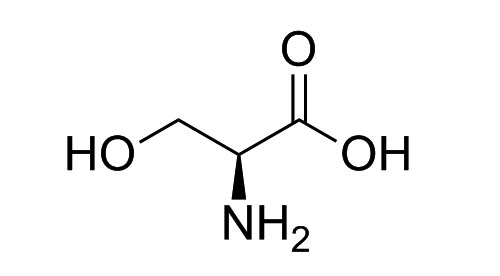 l serine bulk